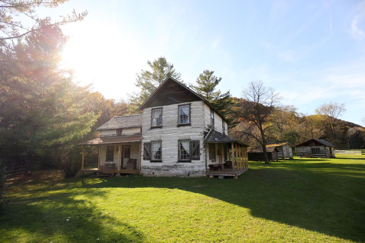 �E�B�X�R���V���Ƀm���E�F�[�̒J�I�H