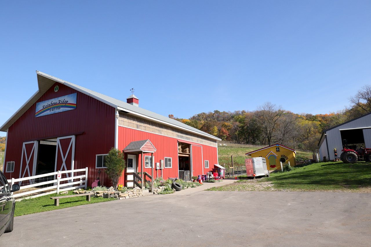 ���M�ƃ��K���ł���q��