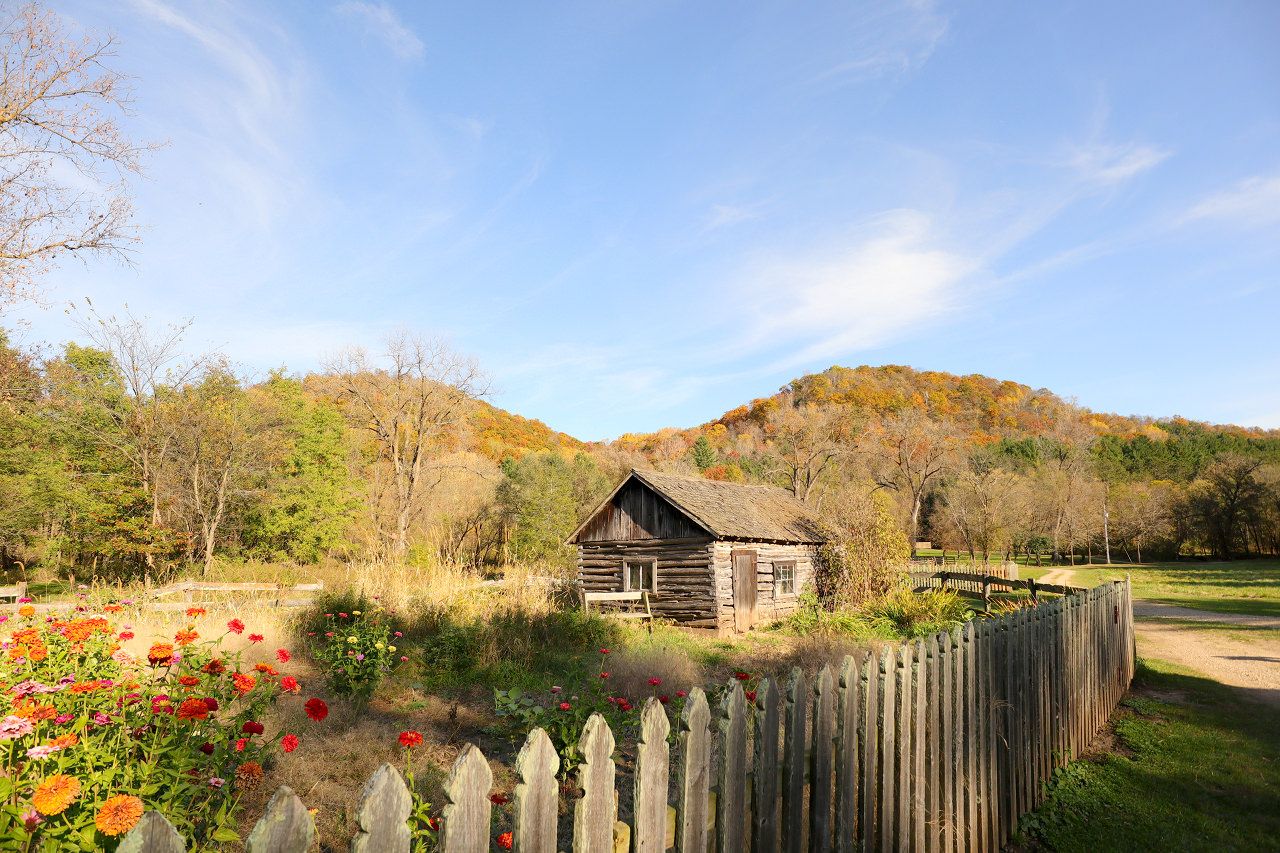 �E�B�X�R���V���Ƀm���E�F�[�̒J�I�H