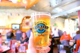 EBXRVu|gVEu[vŒnr[\悤I̋LTlC