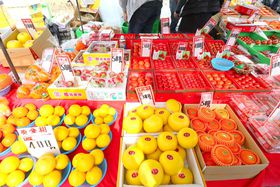 �����u���j�s�v��_���č��m��GO!��300����I�X�̒����炨�C�ɓ����T�����̋L���T���l�C��