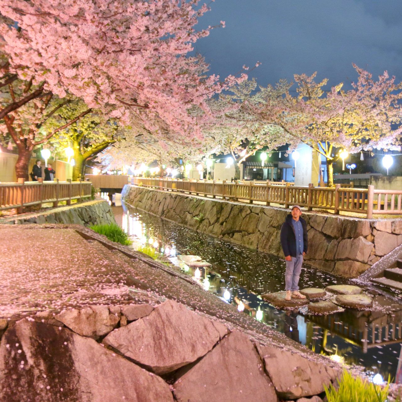 インスタ映えする香川の桜 オススメお花見スポット５選 香川県 Lineトラベルjp 旅行ガイド