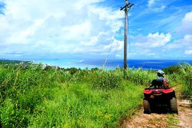 1̗s2xyHTCp{młvɊyރXgbvI[o[I̋LTlC