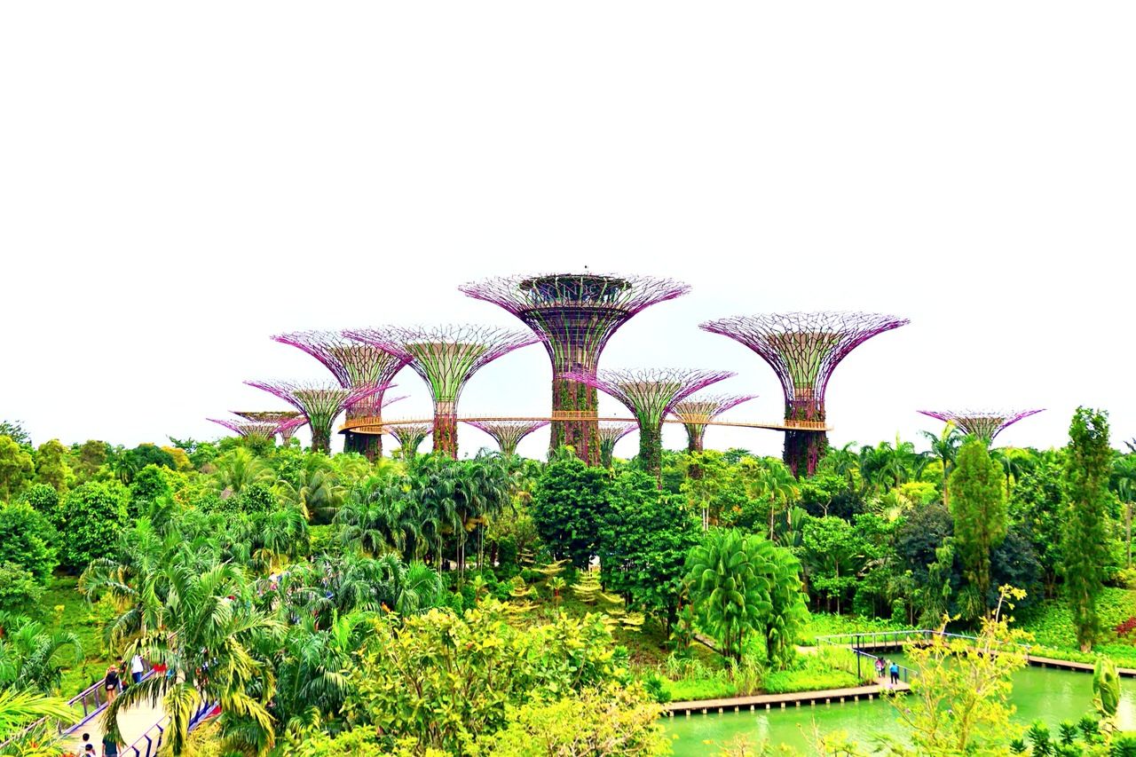 シンガポールを代表する巨大国立公園