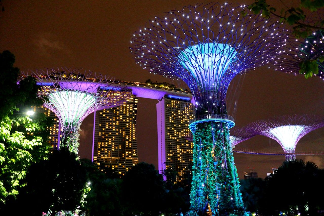 シンガポール ガーデンズ バイ ザ ベイ は夜がオススメ シンガポール Lineトラベルjp 旅行ガイド
