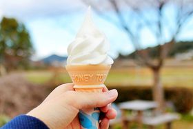 uRqꂤvŃXC[cӂꂠhCűLTlC