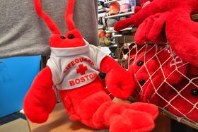 AOɁI{Xg`Ŕ邲nyYƃ[JŐLTlC