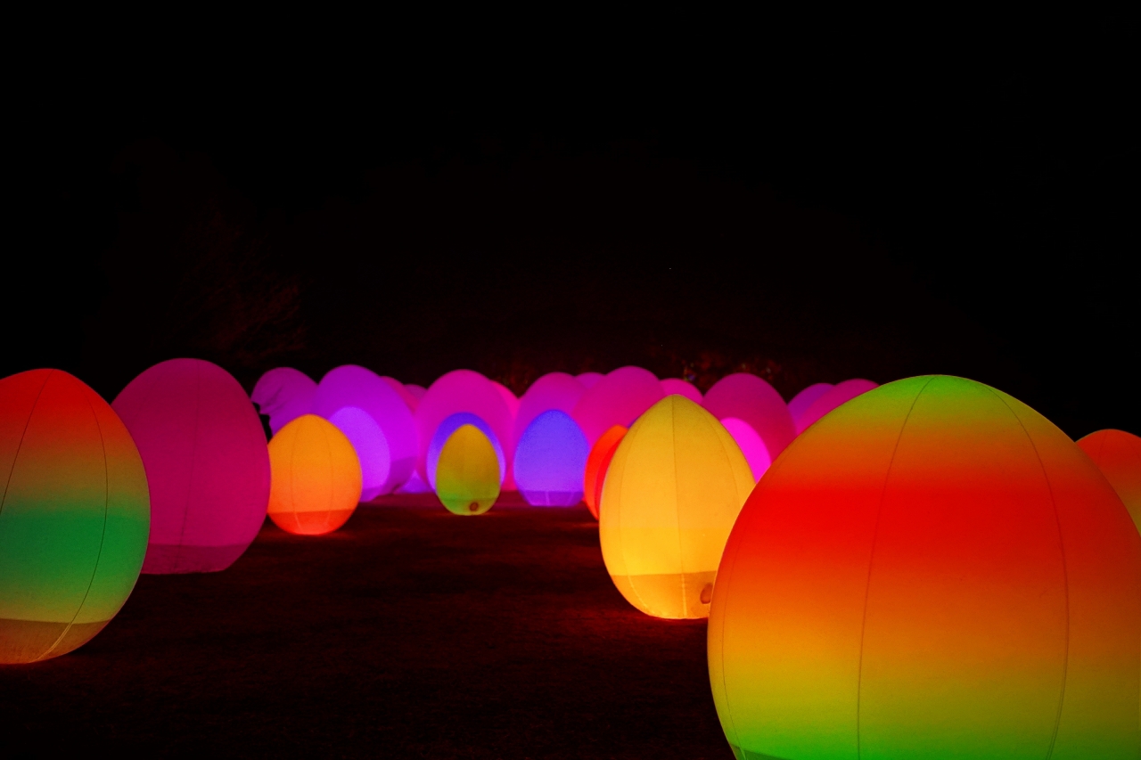 ���`�̂̊Ԃɕ��������ĐF�𓮂������I