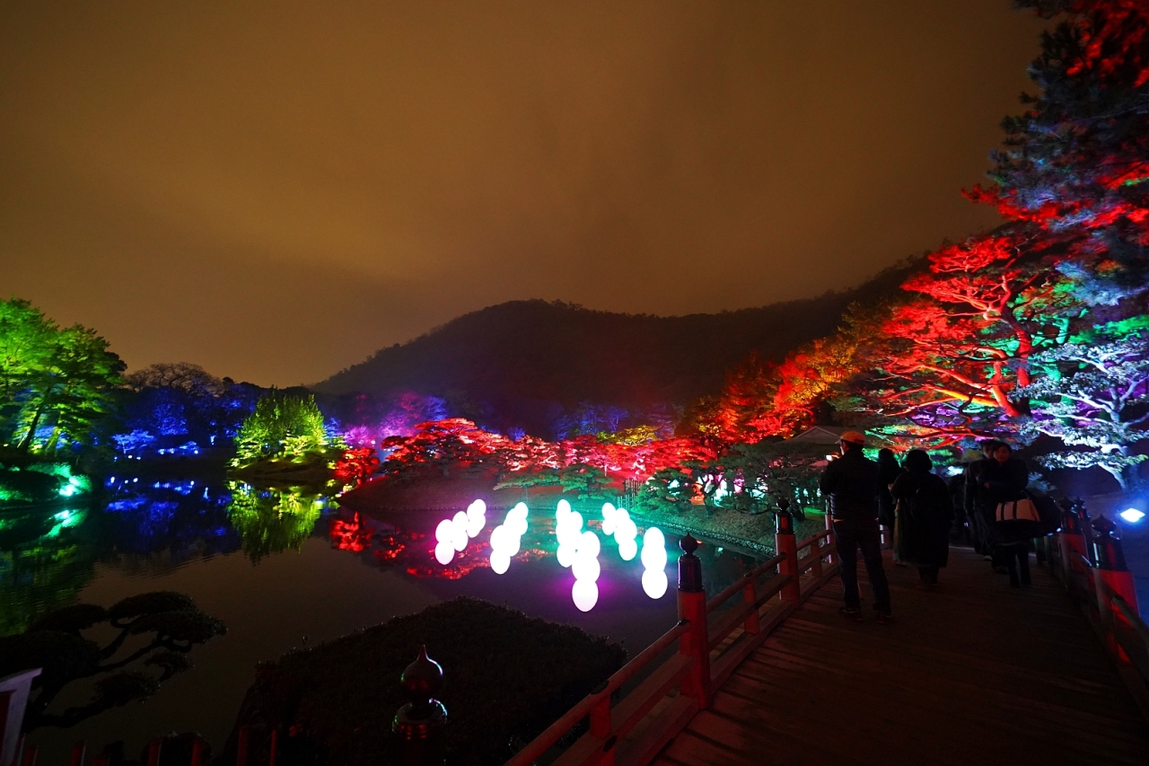 �ڂ낤�J���t���Ȗ؁X