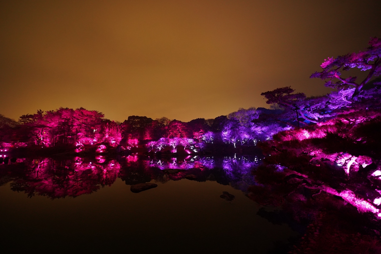 �ڂ낤�J���t���Ȗ؁X