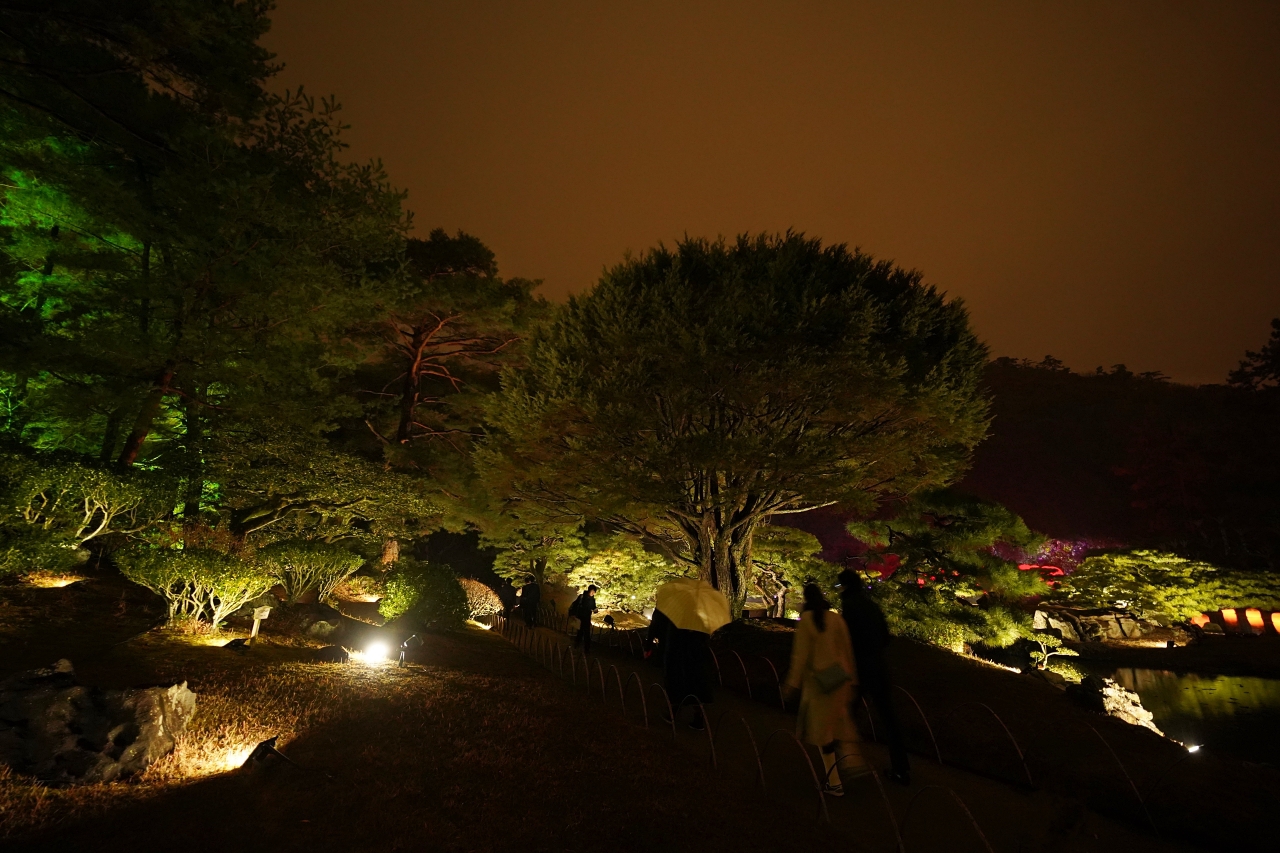 ���ʂɔ��˂��铔������z�I�I