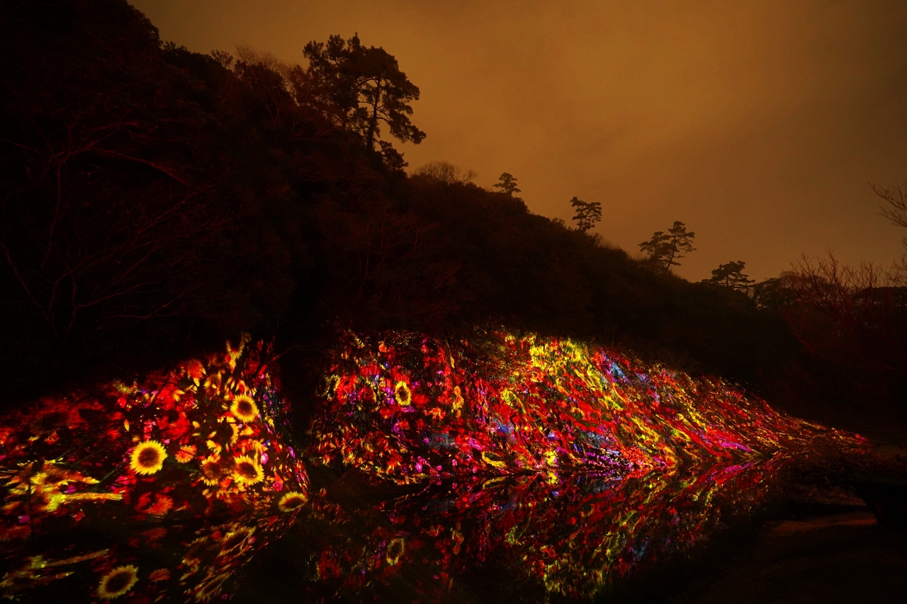 �Ԃ̈ꐶ�����_�R������