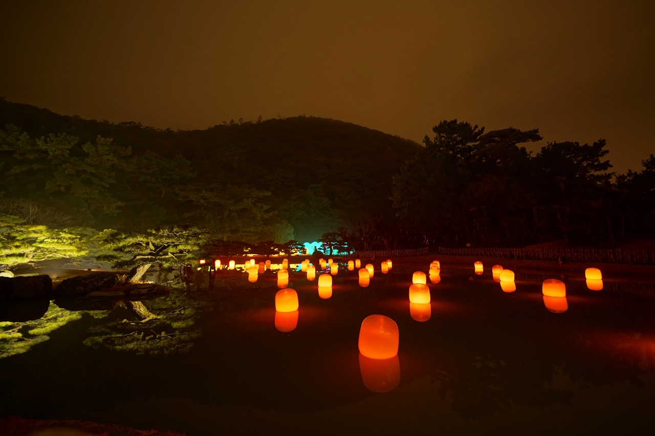 ���ʂɔ��˂��铔������z�I�I