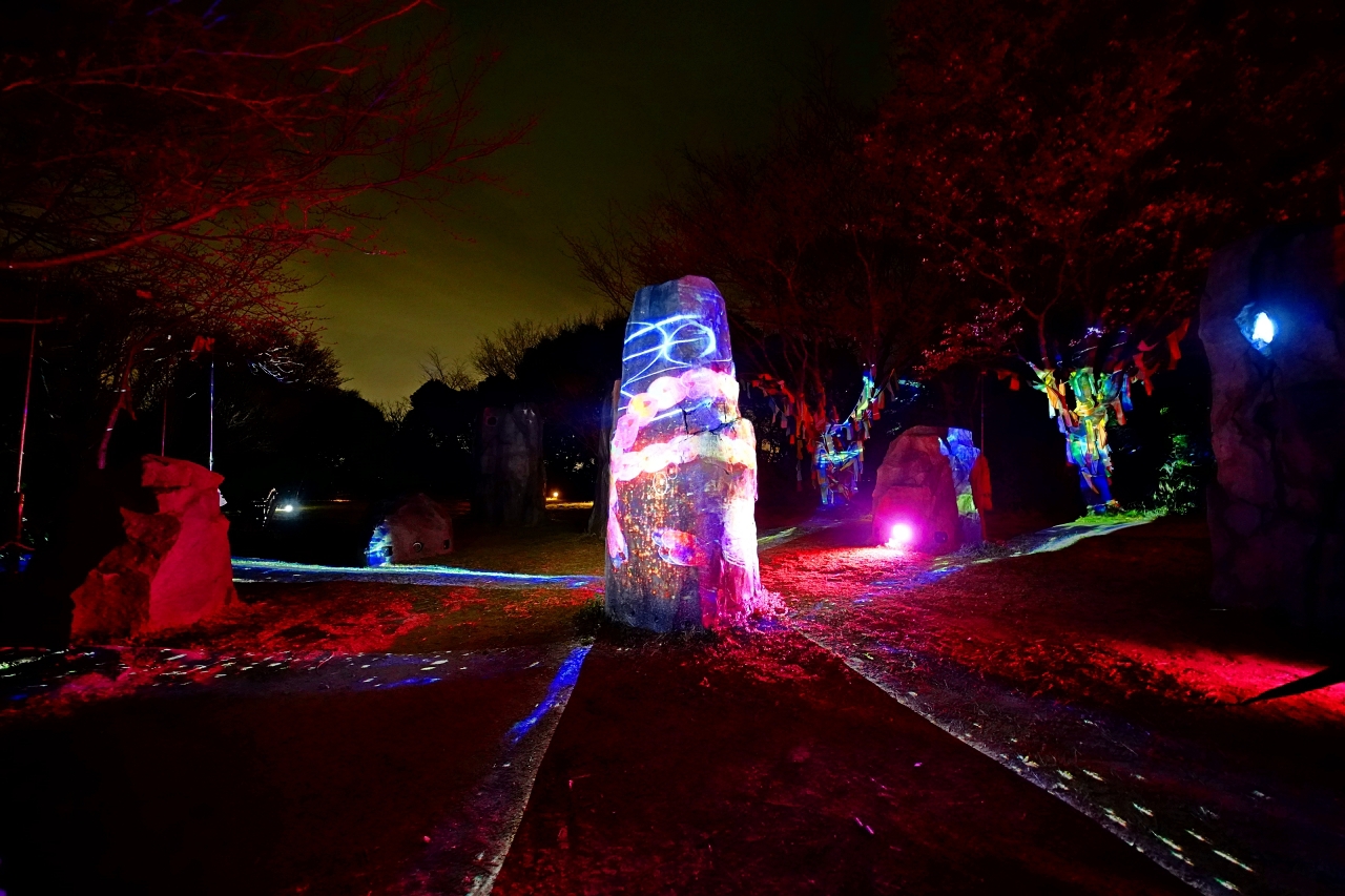 �����ŎQ���ł���u�i�C�g�E�H�[�N �΂̒��v���K���I