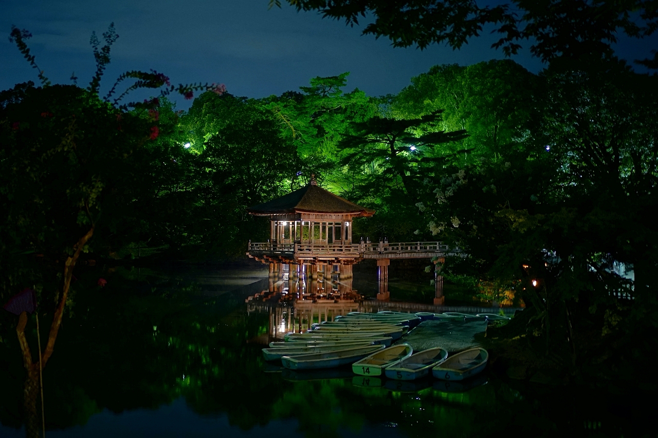 �����X�|�b�g�̓R�`���I