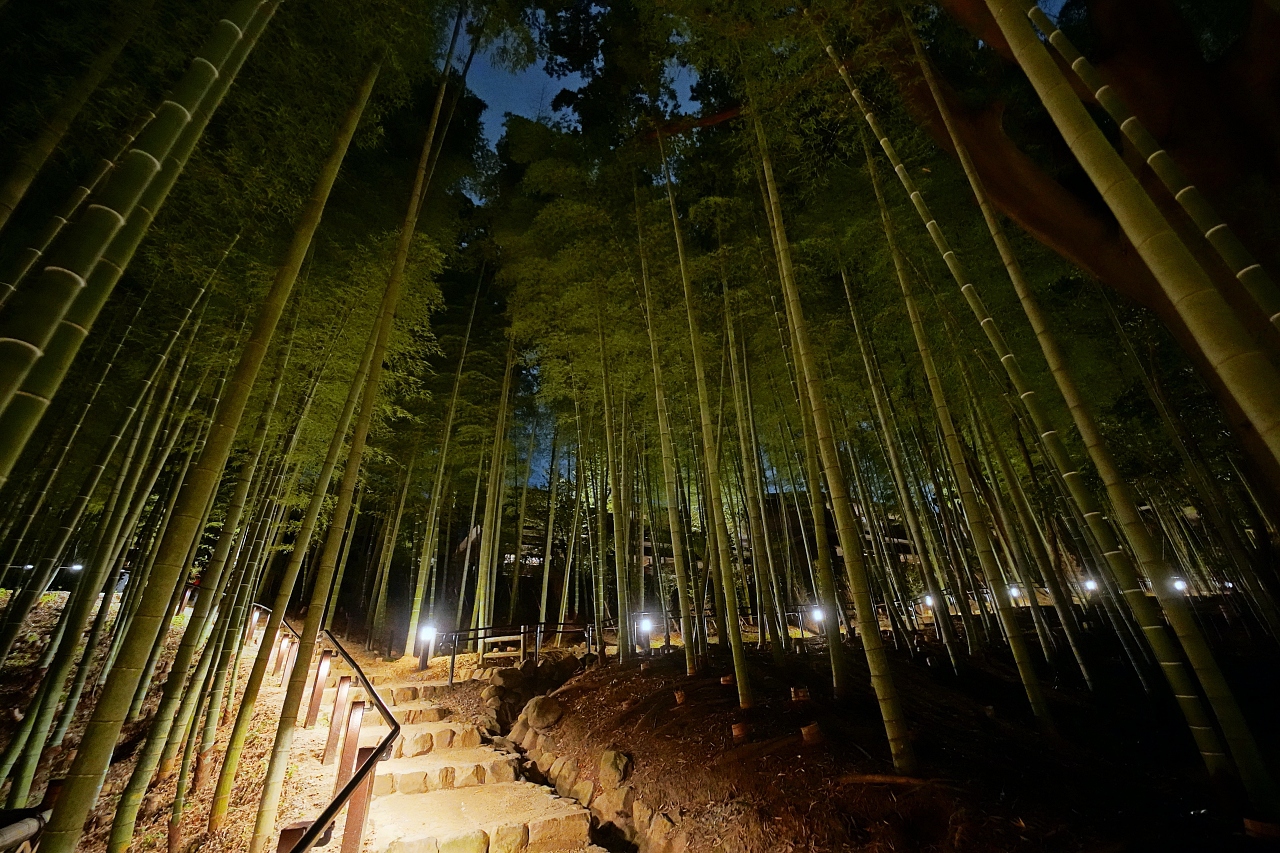 �����X�|�b�g�̓R�`���I