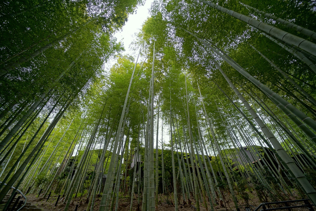 �΂Ɠ��肪���o����ۓI�Ȍi�F