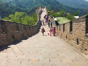 �Y��E���܂Ȃ��I�k������s���閜���̒���Ȃ�u��c������v�ցI�̋L���T���l�C��