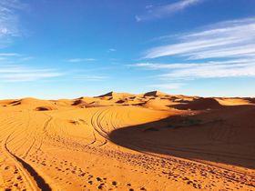 ̐iItFY}PVbRV̗ɏo悤̋LTlC