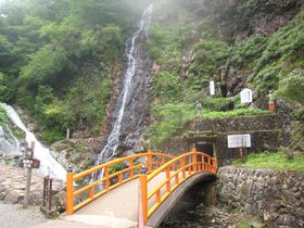 �����������ߒ����s�u�����R�v�ցI�y�b�g������OK�I�̋L���T���l�C��