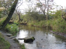 ����u�J�b�p���v�E�L���E������ɖ��b�̐��E�ցI�̋L���T���l�C��