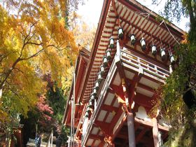 奈良県・紅葉に彩られた「大化の改新」発祥の地