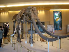 ���{���œ��{�ő�I�~�G�]�E�������i���Îs�u�l�����l���v�ɏo���I�̋L���T���l�C��