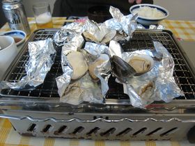 ɐ̍EK̖YuĂn}Ovň̍𖞋iI̋LTlC