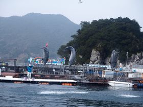 ���͖��_�I�啪�u���݂��ܑ̌��p�[�N�E���݃C���J���v�C���J�V���[�̋L���T���l�C��