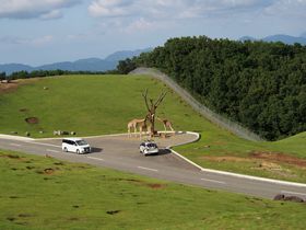 BRuAtJTt@vŖ쐶̃XƊI̋LTlC