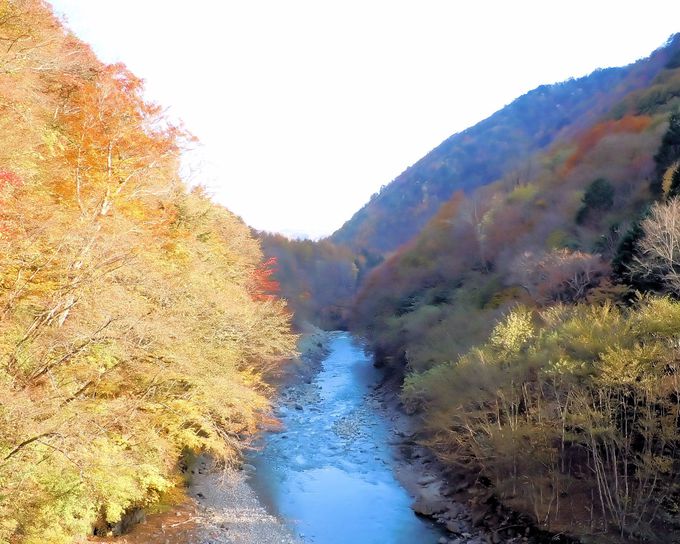 ��i�����\�ł���A�k�J�����̗ѓ�