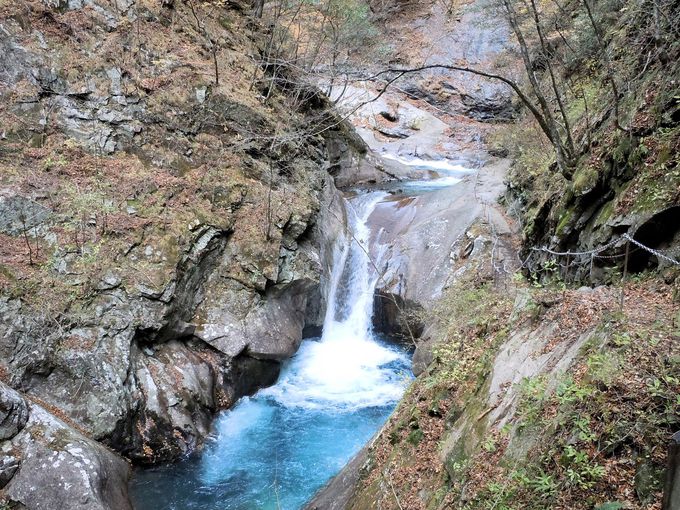 ����A�������肿����Ƃ����o�R�C���I�ł��������������ĐT�d��