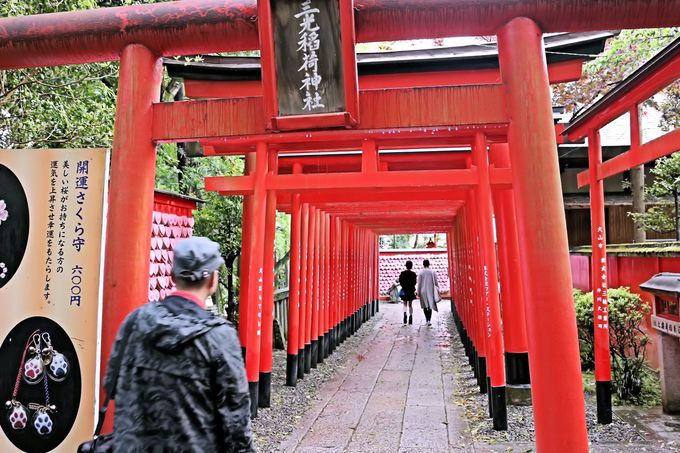 ׂŗ̃L[sbg΂ށHR[uOא_Ёv