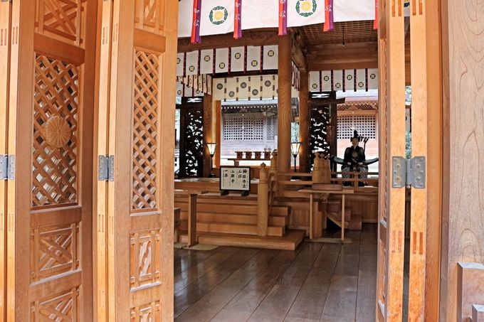 ͂ȃp[IkB̊C_ĈȂMB܌S𐬗