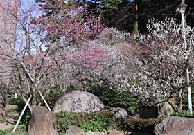 ނlȔ~̍ɕ܂đt𖞋i悤IuMC~v̋LTlC