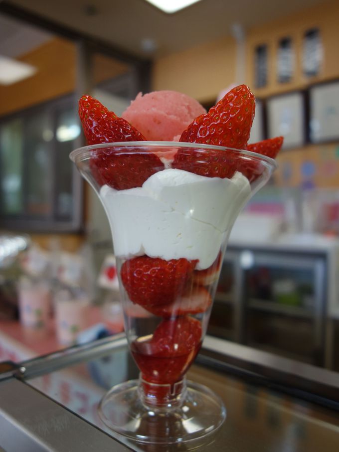 Ƃ߃oEACXƈ|Isւ䕂ÂptF