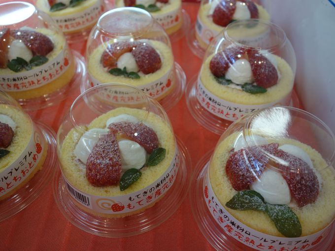 Vi̍̂ꂽ䕂̃`[YCoE