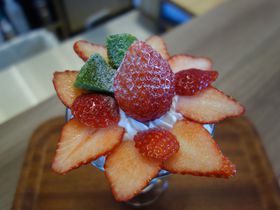 䕐sIȖ؁ủwĂv͊nƂƂ߂̃XC[cV̋LTlC