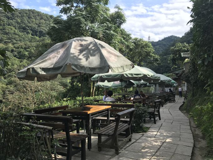 e[}͑lILȕ~n炨Cɓ̏ꏊIڂ