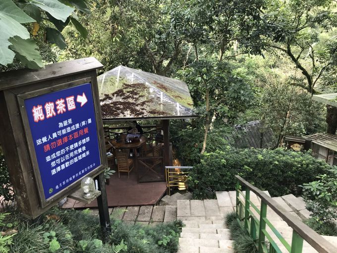 e[}͑lILȕ~n炨Cɓ̏ꏊIڂ