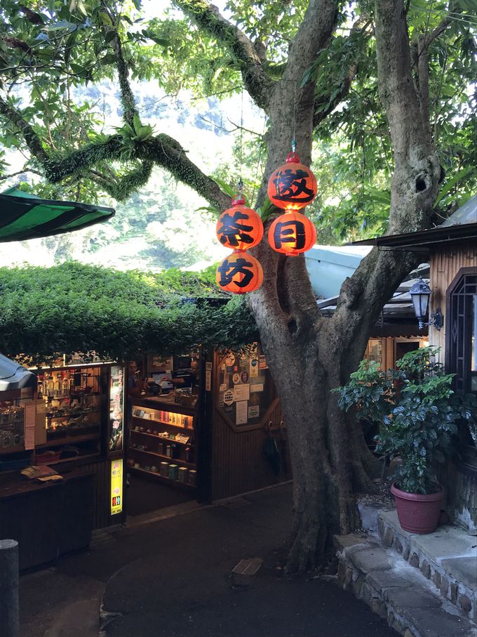 L̎R̒ɘȂށu籌Vv24365c