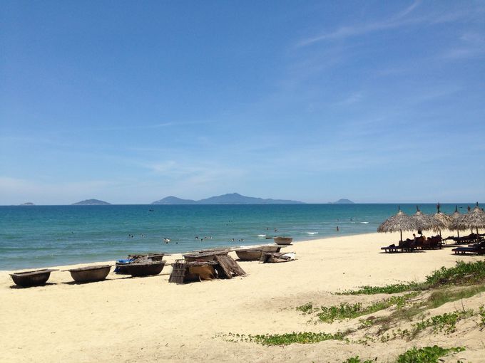 Eat,Swim,Sleep,Repeat