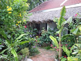 14000~̊yIxgiuAop[vz[XeCv̋LTlC