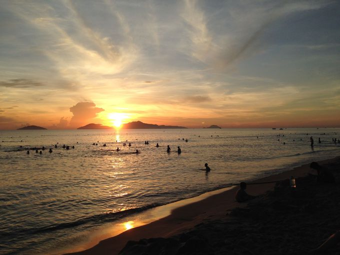 Eat,Swim,Sleep,Repeat