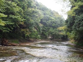 ꂠIItE{VkJŉ߂̗ւ̋LTlC