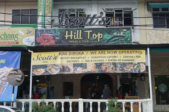 LnCh́A}[VȂ唼̍g𐶎Y