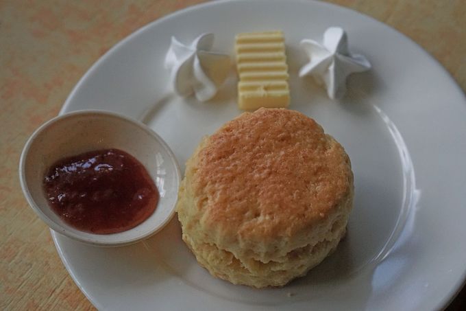 The LORDS CAFEiU[YJtFjAR~Ń[bplW܂