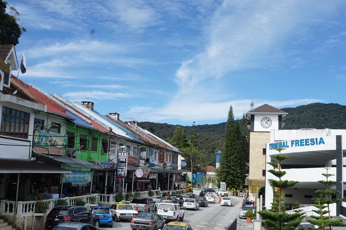 _ƂȂ̂́Au^i^vuu`v̊X