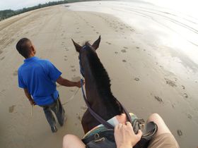コタキナバルを遊びつくす「シャングリララサリア」自然保護区で乗馬にトレッキング！