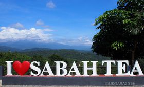 �g���_���Ő�i�����`�I�R�^�L�i�o���u�T�o�e�B�[�K�[�f���v�̋L���T���l�C��